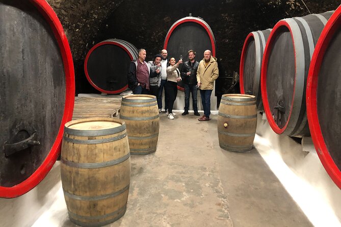 Private Bohemia Wine Tour from Prague with Gourmet Tastings - What to know before you book