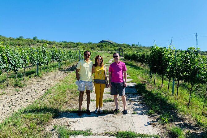 Private Bohemia Wine Tour from Prague with Gourmet Tastings - Radobýl shows the modern side of Bohemian wine