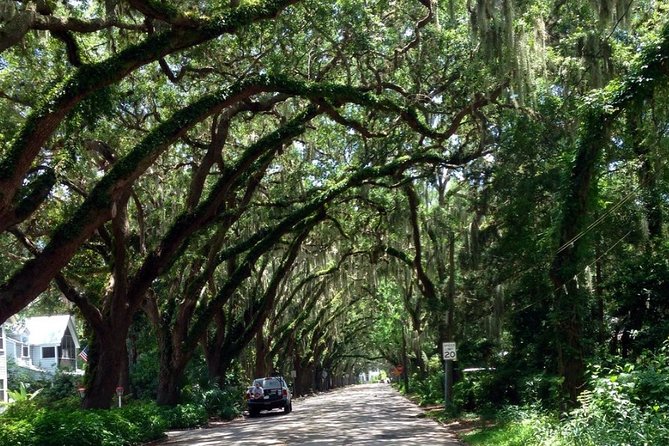 Private Guided Historic Electric Cart Tour of St. Augustine - Churches, landmarks, and the best photo chances