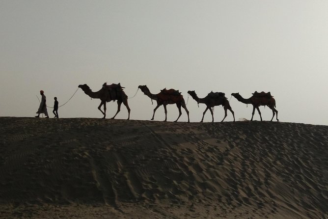 Private Heritage Walking Tour in Jaisalmer Fort and Old Bazaar - Why this walking tour works in Jaisalmer