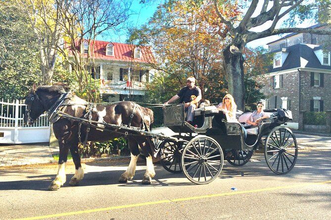 Private Historic Horse & Carriage Tour of Charleston - Why a carriage is a smart first look at Charleston