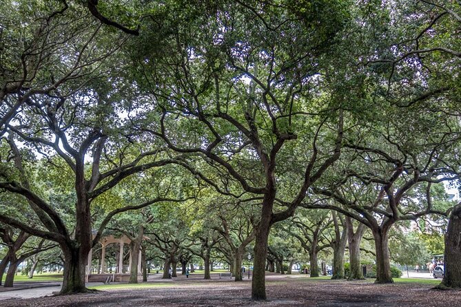 Private Historic Horse & Carriage Tour of Charleston - Private means one carriage, not one ticket