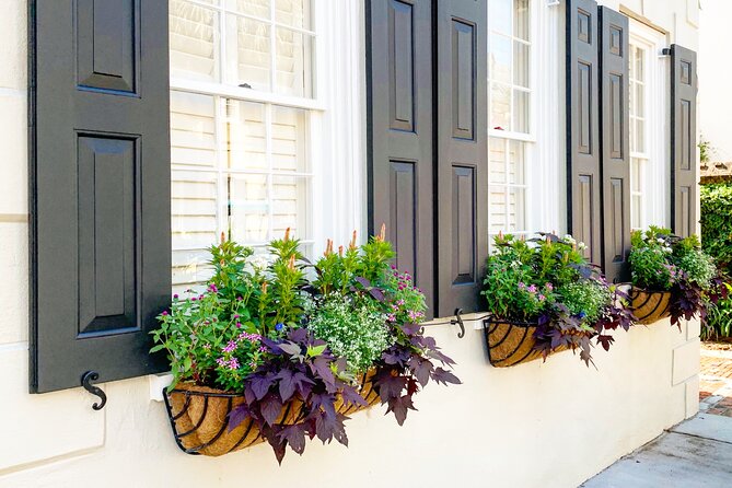 Private Historic Horse & Carriage Tour of Charleston - Who will get the most from this tour