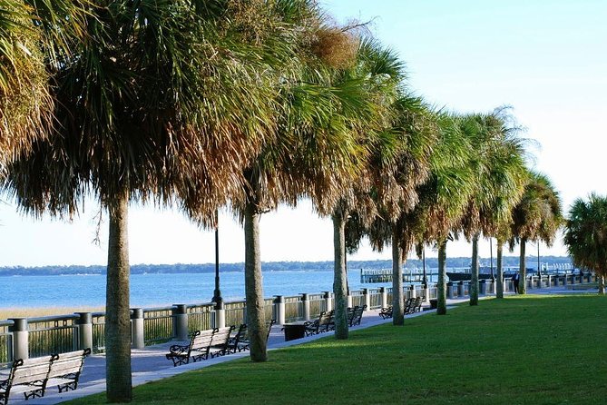 Private Historic Horse & Carriage Tour of Charleston - Meeting near City Market on Pinckney Street