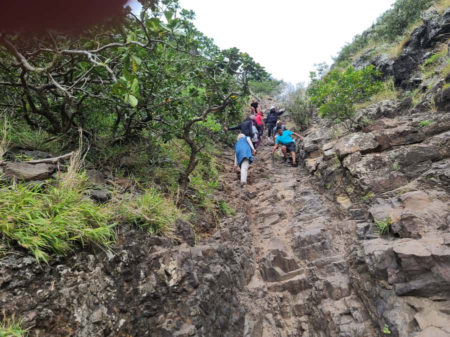 PRIVATE LeMorne Mountain Picturesque Hike-UNESCO Recognised - What to wear and carry