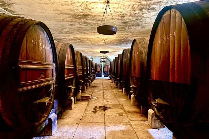 Private Lisbon-Arrábida Wine Tour: 3 Wineries, Coast & Heritage - Arrábida’s coast, viewed from the mountain roads