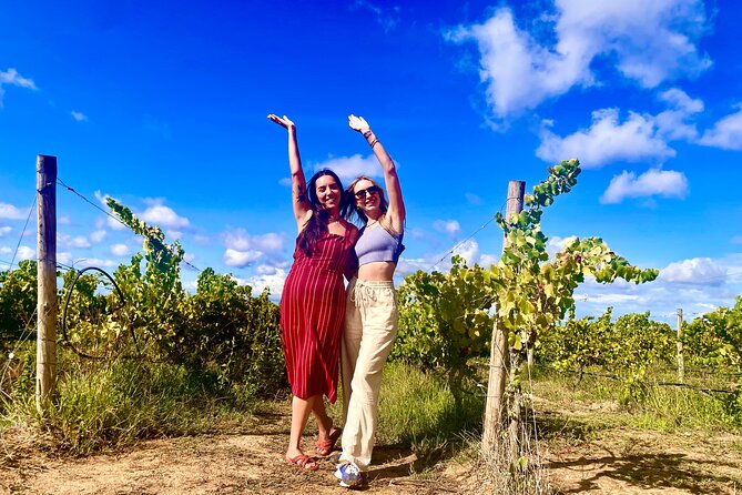 Private Lisbon-Arrábida Wine Tour: 3 Wineries, Coast & Heritage - Mercado do Livramento, where the day begins with food