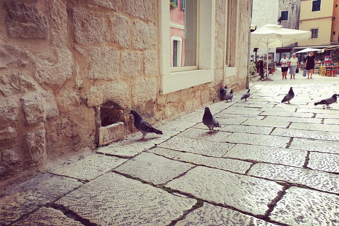 Private Sibenik Walking Historical Morning or Evening Tour - Following the old city for about two hours
