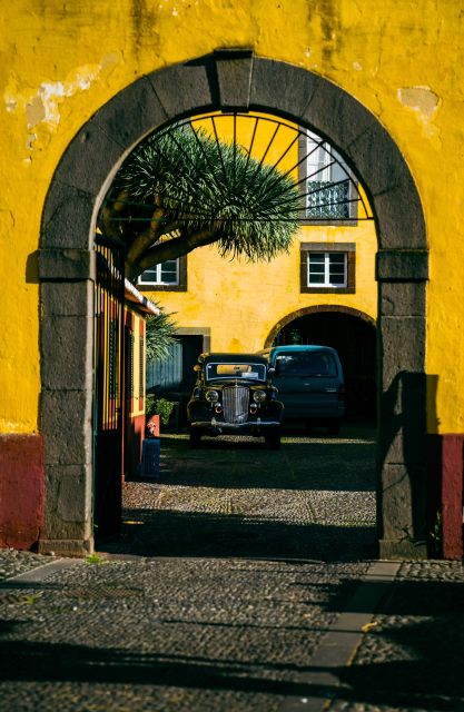 Private Tour:Historical Old Town 1-Hour Tour by Tuk Tuk - São Pedro and the Streets North of the Cathedral