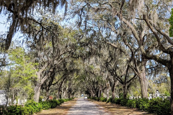 Private Tour of Savannah's Historic/Victorian Districts & Bonaventure Cemetery - Why this private ride works well in Savannah
