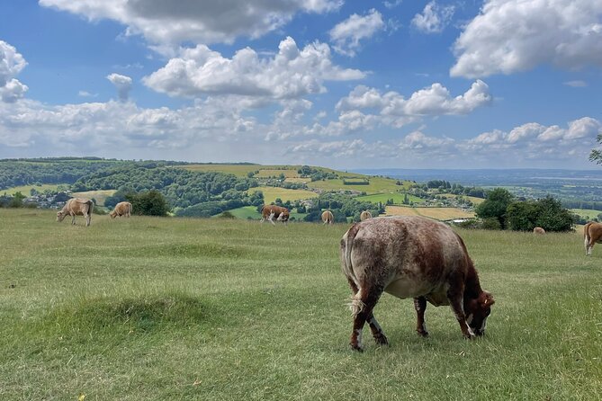 Private tour of the stunning Cotswolds with an expert local guide - Broadway Tower and the high point of the route