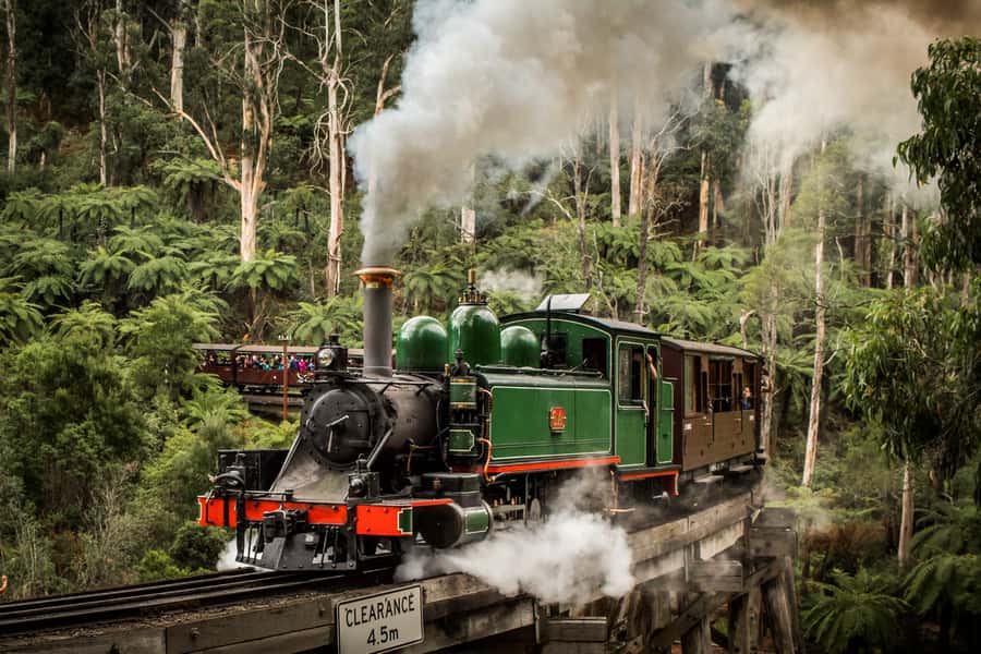 Puffing Billy Railway: Heritage Steam Train Journey - Key things to know