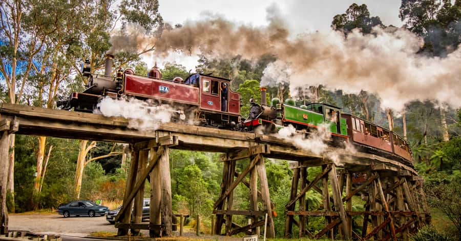 Puffing Billy Railway: Heritage Steam Train Journey - The Dandenong Ranges scenery