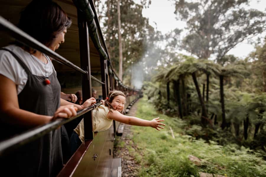 Puffing Billy Railway: Heritage Steam Train Journey - Choosing between Belgrave and Lakeside