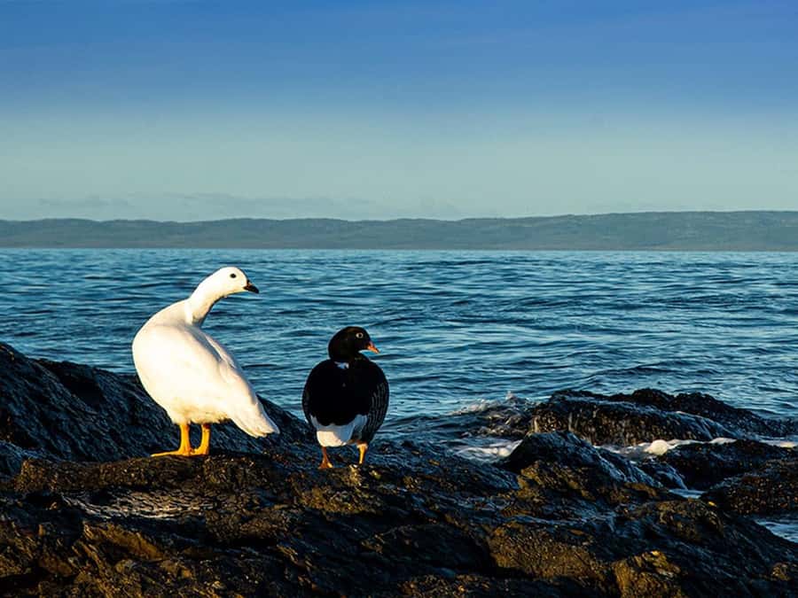 Punta Arenas: Fort Bulnes Historical Tour - Is $46 a fair price?