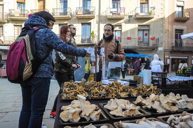 Pyrenees & Medieval Towns Small Group Tour from Barcelona - What to pack for changing temperatures