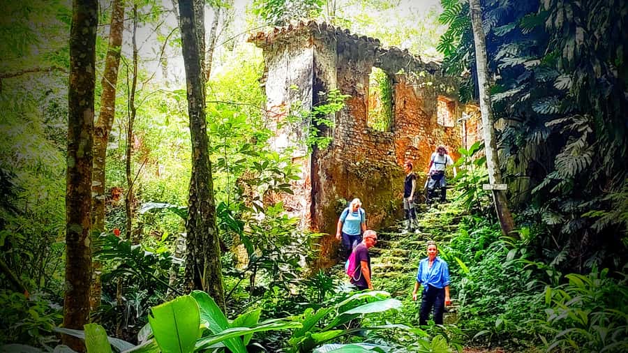 Rio: Tijuca Forest Small Group Hike to Caves and Waterfalls - Mayrink Chapel and the old plantation route