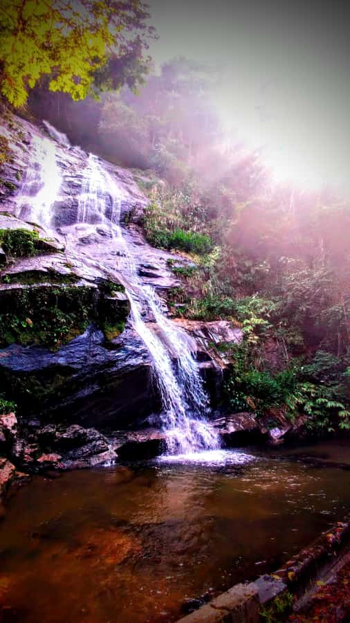 Rio: Tijuca Forest Small Group Hike to Caves and Waterfalls - Baronesa Cascade and the welcome waterfall shower