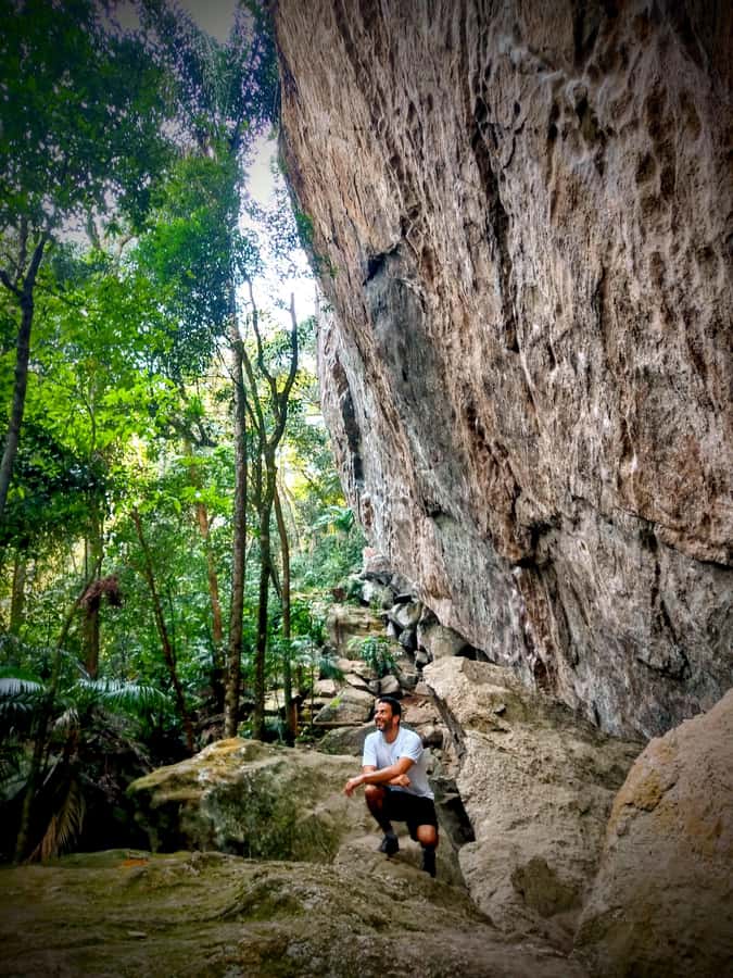 Rio: Tijuca Forest Small Group Hike to Caves and Waterfalls - Palmira viewpoint and the ride back