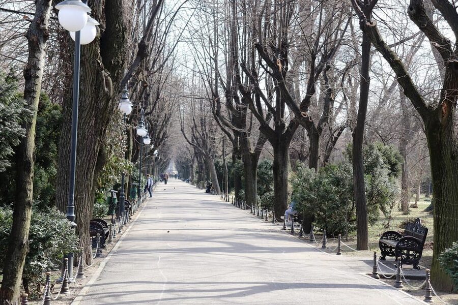 Roma Culture, Realities and Slavery History, Walking tour - Finishing at Mesteshukar ButiQ