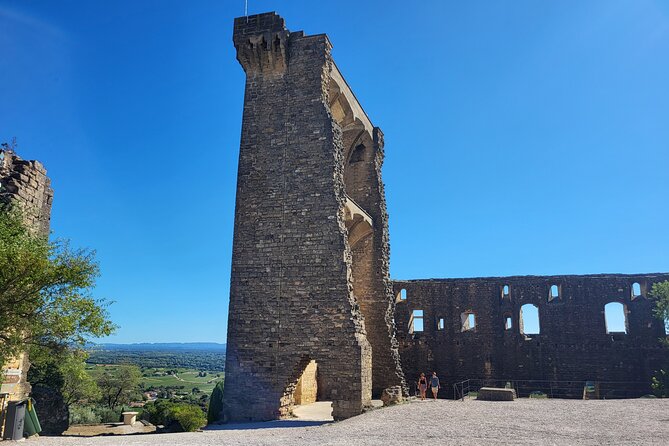 Roman Heritage & Wine Legacy - Why this Avignon afternoon works
