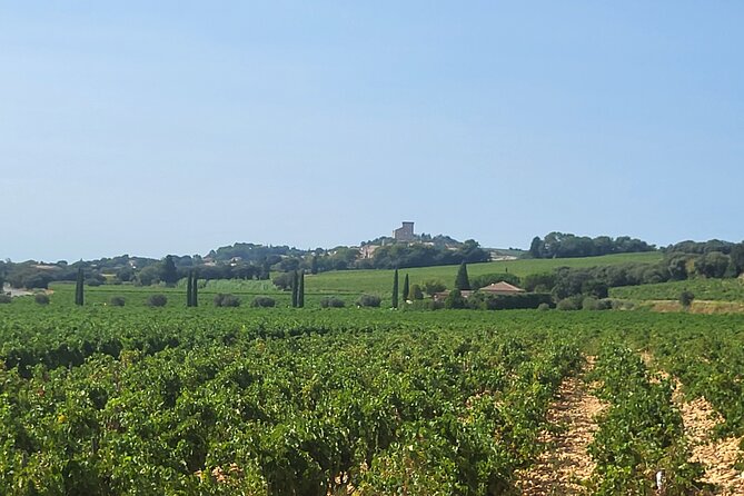 Roman Heritage & Wine Legacy - Booking details worth knowing