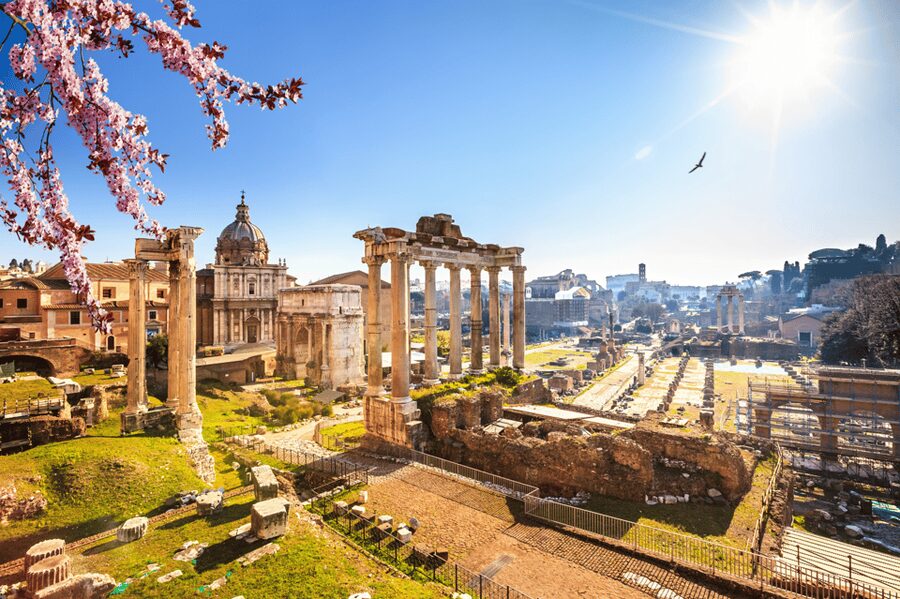 Rome: Colosseum and Ancient Rome Guided Walking Tour - Who gets the best value from this tour