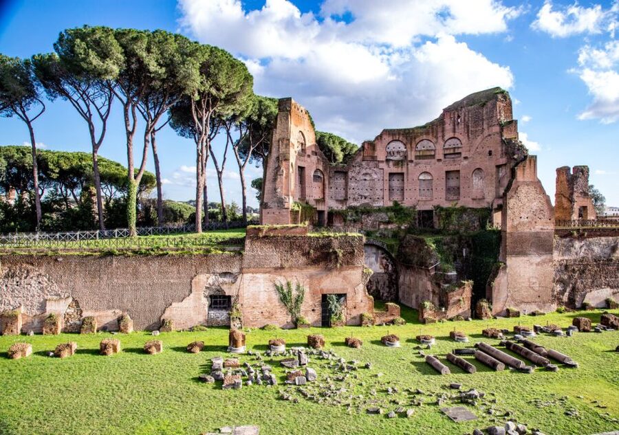 Rome: Colosseum Arena Access and Ancient Rome Guided Tour - Palatine Hill brings the imperial setting into view