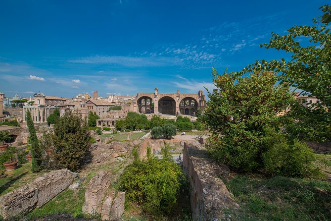 Rome: Colosseum Arena, Roman Forum & Palatine Hill Tour - Live guide or audio guide