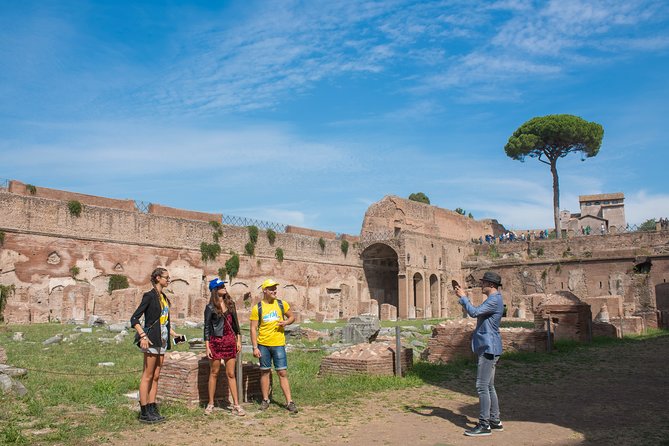 Rome: Colosseum Arena, Roman Forum & Palatine Hill Tour - Palatine Hill and the views across ancient Rome