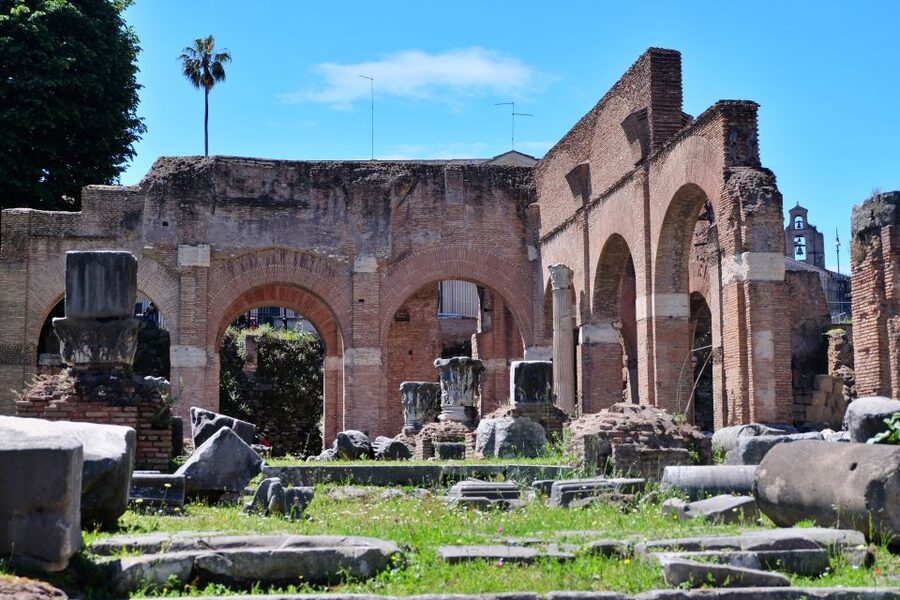 Rome: Introduction to the Colosseum and Ancient City Tour - Who should book this Colosseum tour?