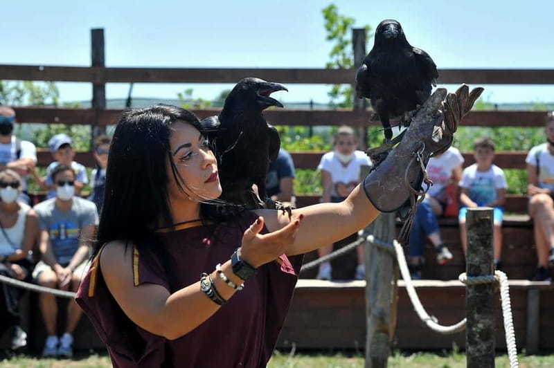 Rome: Roma World, the park to live a day as an Ancient Roman - Gladiators, swords, and archery
