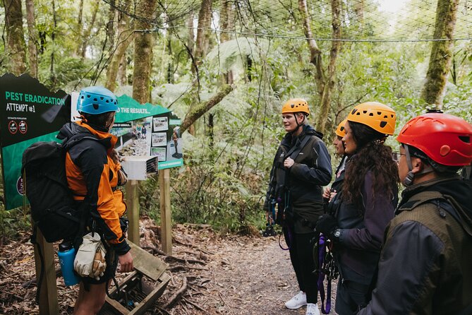 Rotorua Canopy Tours: 2.5Hour Native Forest Zipline Adventure - The guides make the difference