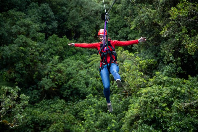 Rotorua Canopy Tours: 2.5Hour Native Forest Zipline Adventure - Conservation gives the adventure a purpose