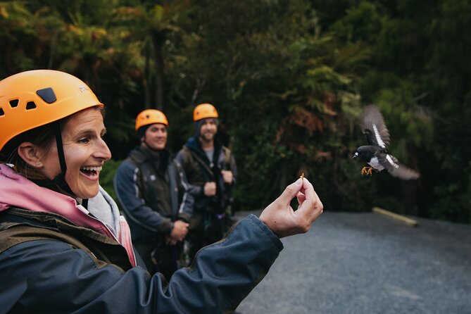 Rotorua Canopy Tours: 2.5Hour Native Forest Zipline Adventure - Weather, clothing, and physical demands