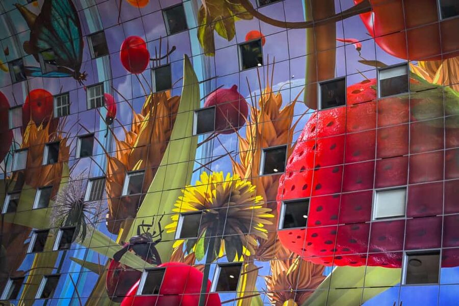 Rotterdam: Highlights, Gems, Architecture & History Walk - The guide style and visual material