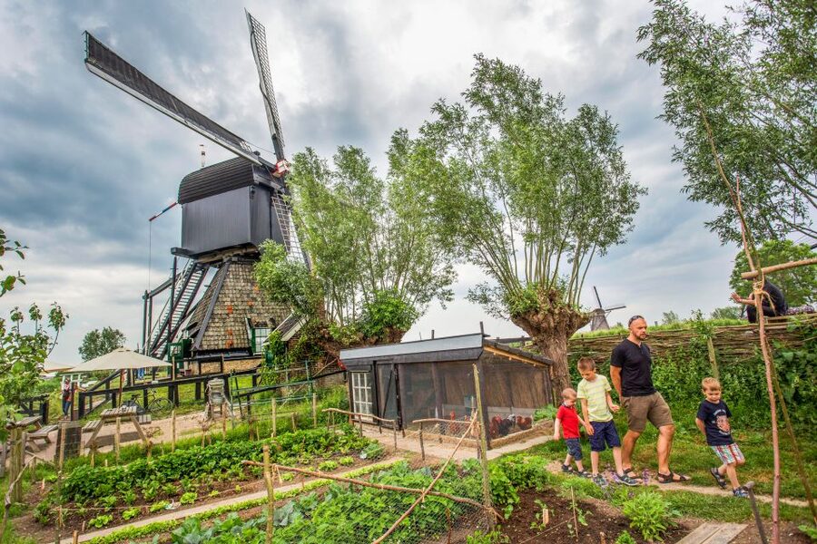 Rotterdam: Kinderdijk UNESCO World Heritage Entry Ticket - Begin with the film and exhibition