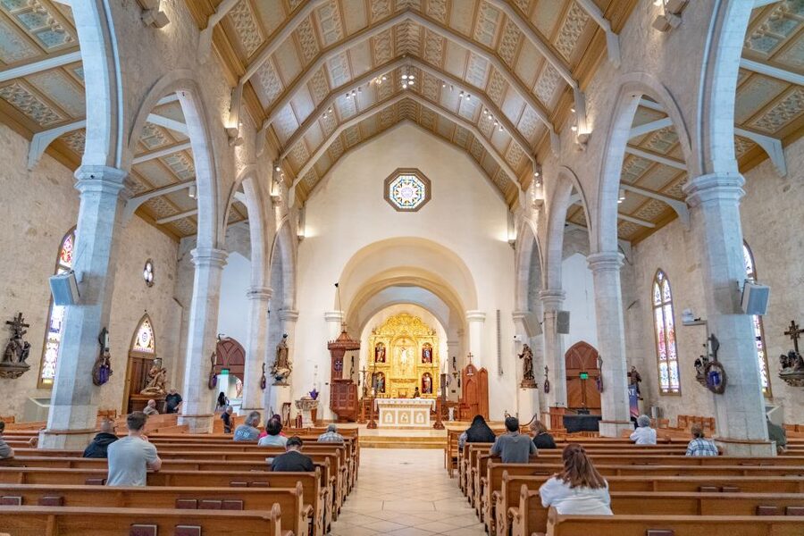 San Antonio: Historic Downtown Food and Culture Walking Tour - Who will enjoy this downtown walk?