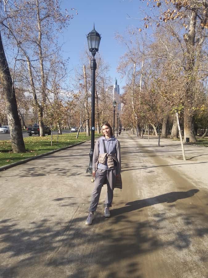 Santiago: Guided Walking Tour of the Historical Old Town - Who should book this Santiago walking tour?