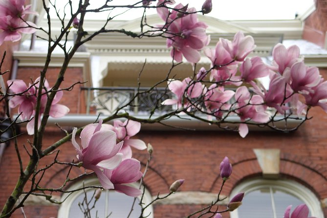 Savannah Historic District Walking Tour - Johnson Square tells a story of war and money