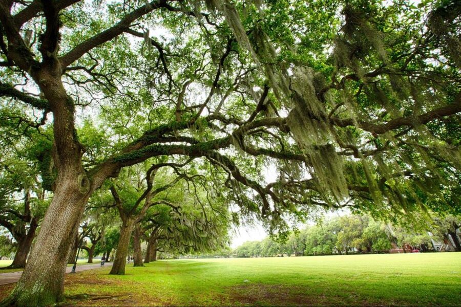 Savannah: Historical Panoramic City Tour - Is $48 a fair price?
