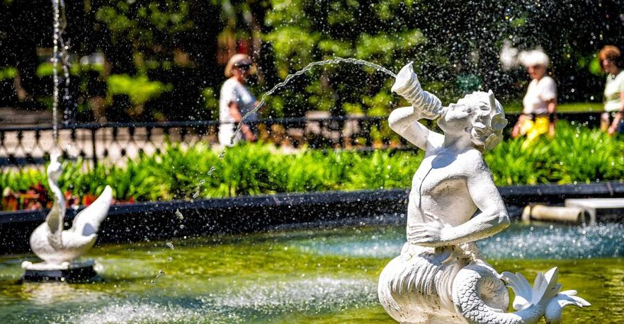 Savannah: History and Culture Walking Tour - Starting in Warren Square