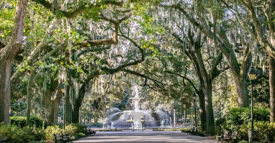 Savannah: History, Culture, & Scenic Views E-Bike Tour - Why an e-bike is a smart way to see Savannah