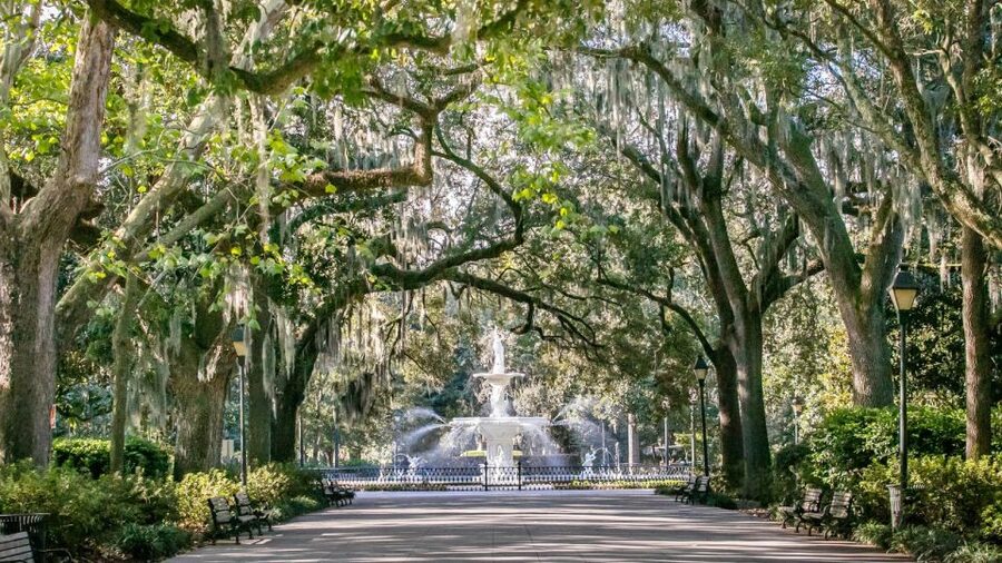 Savannah: History, Culture, & Scenic Views E-Bike Tour - Savannah’s oak trees and urban greenery