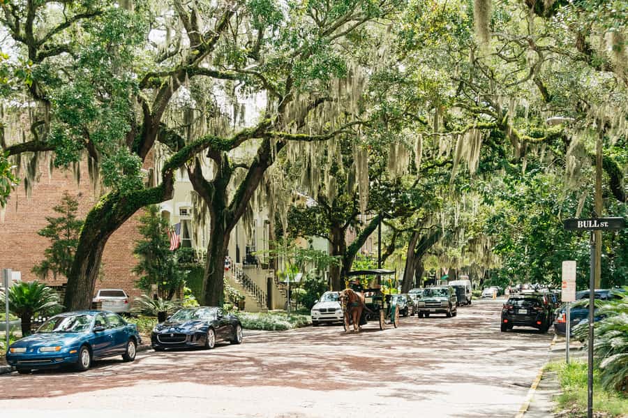 Savannah: Old Savannah Tours Historic Overview - Is $35 a fair price?