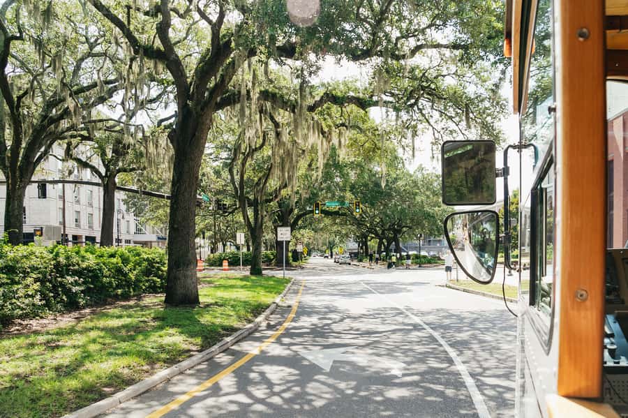 Savannah: Old Savannah Tours Historic Overview - Who will enjoy this 75-minute overview