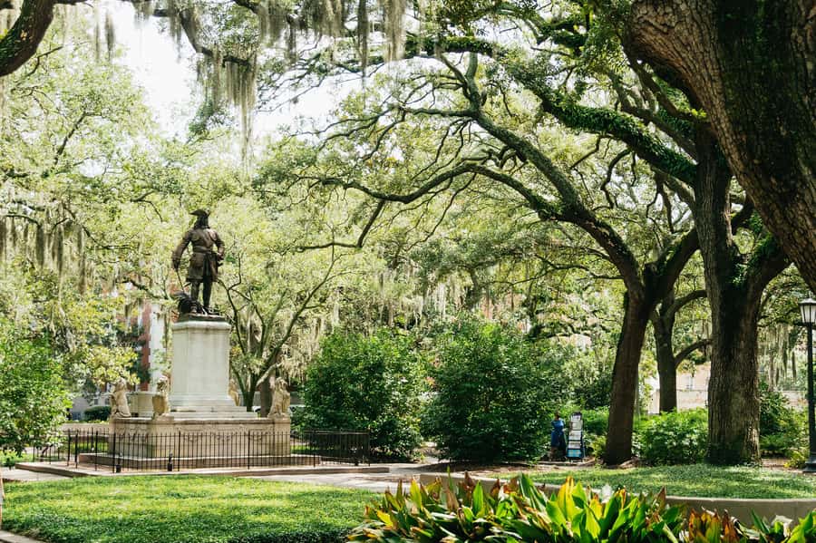 Savannah: Old Savannah Tours Historic Overview - Practical advice before you board