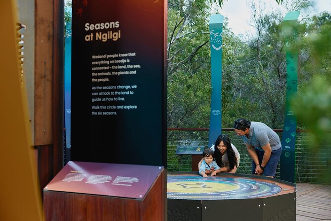 Self-Guided Ngilgi Cave Ancient Lands Experience - Starting among the trees at Ancient Lands