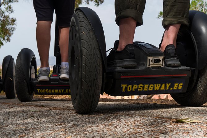 Seville City Tour: 3-Hour Historical Segway Adventure - Torre del Oro and the Guadalquivir riverfront