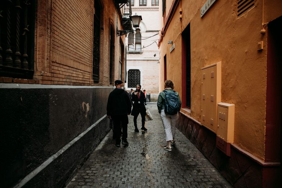 Seville: Tapas, Taverns, and History Walking Tour - How much food and drink will you receive?